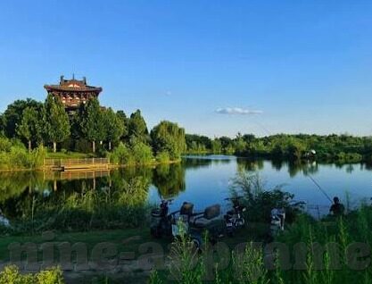 申花与武汉足球比分-申花与武汉足球，一场跌宕起伏的比分背后的绿茵风云