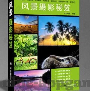 新浪竞彩足球比分直播-新浪竞彩足球比分直播，足球迷的实时盛宴与智慧指南